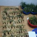 장교농장 이미지