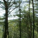 호산농원 이미지