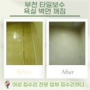 중2동-24 | 부천 타일보수 욕실 벽면 깨짐 부분 해결!