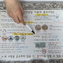 오토오아시스 메가마트언양점 | 울산캠핑장, 작천정 달빛야영장 오토캠핑 후기