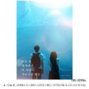 동명아래뜰 | 영화 추영우 신시아 주연 오늘밤 세계에서 이사랑이 (오세이사) 쿠키 특전 전체 줄거리 스포