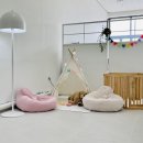 윌리하니 그루밍 이미지