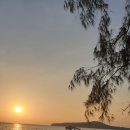 작은꿈들 이미지