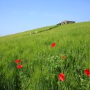 천북목장 이미지