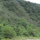 개미들솔향기야영장 이미지