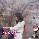 토니안 카카오 검색결과