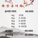 와수출장소 앞 | 풍자 또간집 철원 화강 송어 회 | 철원 맛집 내돈내산 솔찍후기
