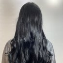 라비드헤어 이미지