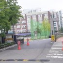 수지다솜유치원 이미지