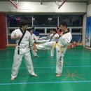 최한호 태권도장 이미지