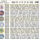 2024년 11월 21일 운세 및 세상 소식 이미지