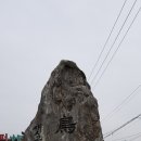 조동낚시터 Daum카페