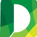 스테이다정 이미지