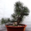 해송4로 이미지