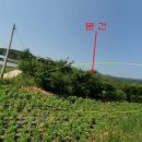 여주-0724 네이버블로그