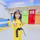 국가대표청룡태권도장 이미지