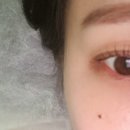 모모엘