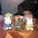 도두 | 제주 미피 굿즈샵 추천｜귤귤스토어 도두점 후기 + 동문시장 달콤다락