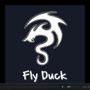 Duck Fly Daum카페