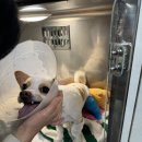 복돌이네 | 23-24년 복돌이 일상