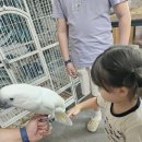 칠곡동물체험카페 네이버블로그