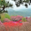 완산공원(아래) 이미지