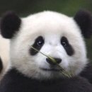 힐좌욕 네이버블로그