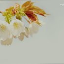 연제구-116 | 부산요양원 녹원요양원 부모님을 위한 따뜻한 선택