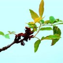 초원포도원 이미지