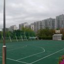 남부생활체육공원 축구장 이미지