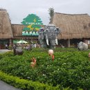 아시아에서 가장 큰 동물원 베트남 푸꾸옥여행 빈펄 사파리투어 퓨전리조트 스파 관광 이미지