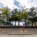 두모마을기업 해양레져 이미지