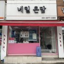네일온담
