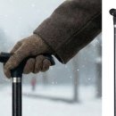 (주)코인스 이미지