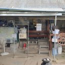 부여막국수 이미지