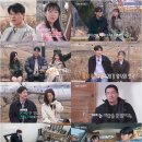 썸민박 분당신문