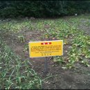 공용재산 토지 이미지