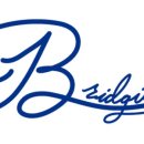 브릿지움(Bridgium)