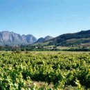 케이프타운 이미지