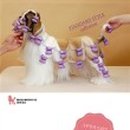 미나애견 이미지