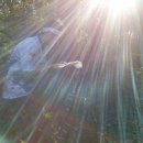 늘솔길공원1 이미지