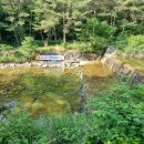 부전계곡(상) 이미지