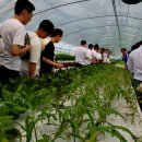 영규농장 이미지