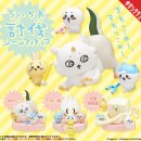 클럽 플로라 이미지