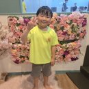 한울타리태권도장 이미지