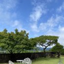 펜션, 호반의 성 | 제천 여행 청풍호 근처 펜션 추천 부모님과 함께 가기 좋은 깨끗한 펜션 호수뷰 호반의성