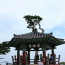 꽃별하얀 이미지