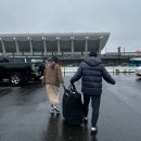 한국밤바 이미지