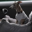 GS25주안한빛점 이미지