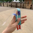 용인//[캐리비안베이] 셔틀버스타고 편하게 다녀온 워터파크 후기